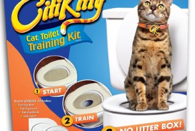6 Animal Tricks You Might Not Know About